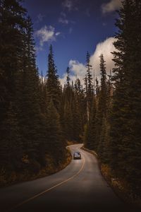Preview wallpaper road, auto, trees, turn