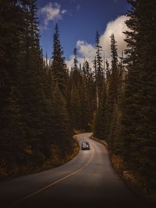 Preview wallpaper road, auto, trees, turn