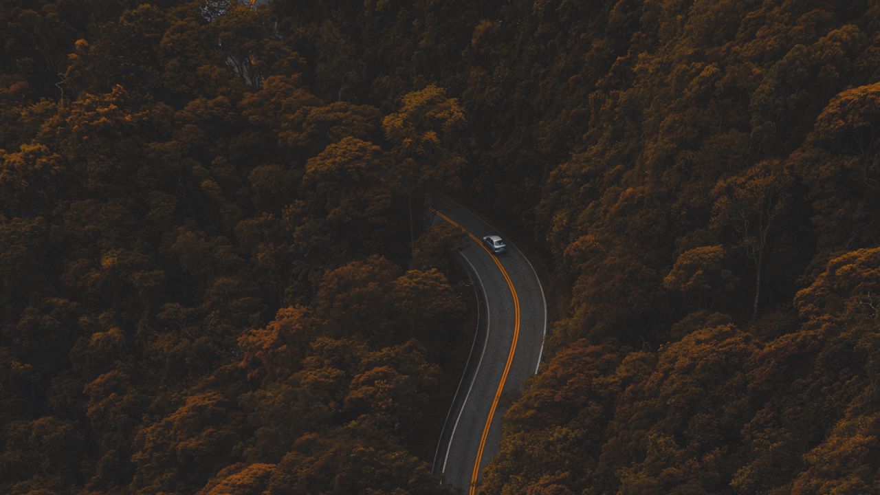 Wallpaper road, autumn, aerial view, foliage, forest