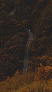 Preview wallpaper road, autumn, aerial view, foliage, forest