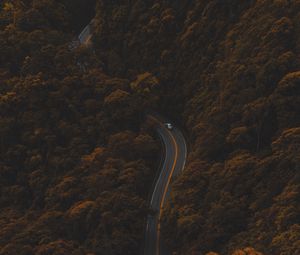 Preview wallpaper road, autumn, aerial view, foliage, forest