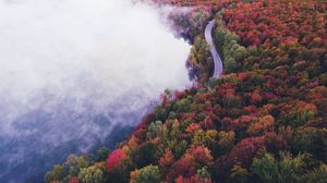 Preview wallpaper road, autumn, fog, trees