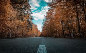 Preview wallpaper road, autumn, trees