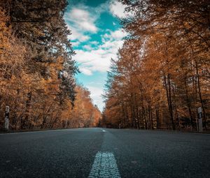 Preview wallpaper road, autumn, trees