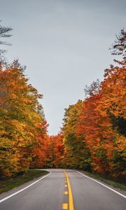 Preview wallpaper road, autumn, trees, nature
