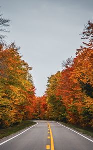 Preview wallpaper road, autumn, trees, nature
