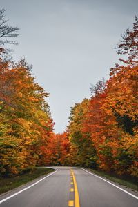 Preview wallpaper road, autumn, trees, nature