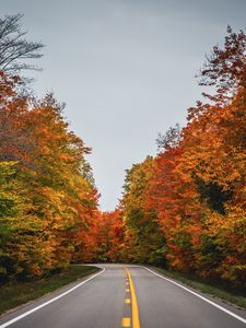 Preview wallpaper road, autumn, trees, nature