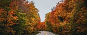 Preview wallpaper road, autumn, trees, nature