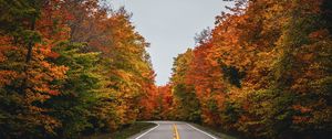 Preview wallpaper road, autumn, trees, nature