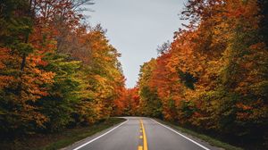 Preview wallpaper road, autumn, trees, nature
