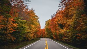 Preview wallpaper road, autumn, trees, nature
