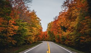 Preview wallpaper road, autumn, trees, nature