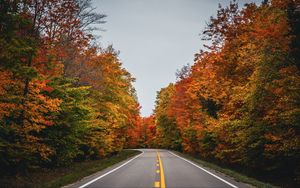 Preview wallpaper road, autumn, trees, nature