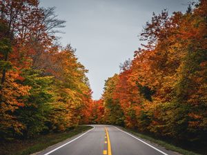 Preview wallpaper road, autumn, trees, nature