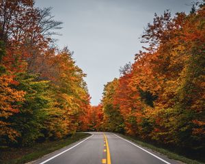 Preview wallpaper road, autumn, trees, nature