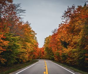 Preview wallpaper road, autumn, trees, nature
