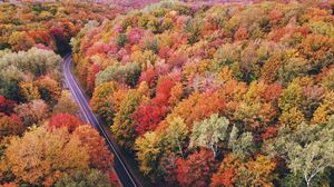 Preview wallpaper road, autumn, trees, aerial view