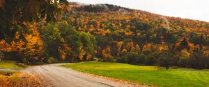 Preview wallpaper road, autumn, trees, leaves, forest