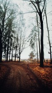 Preview wallpaper road, barrier, trees, fog, nature