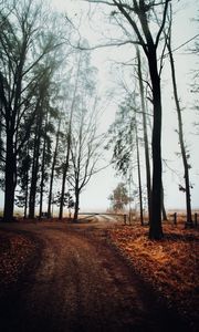 Preview wallpaper road, barrier, trees, fog, nature