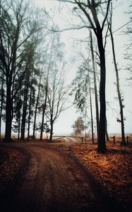 Preview wallpaper road, barrier, trees, fog, nature