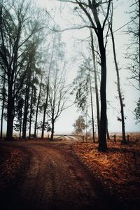 Preview wallpaper road, barrier, trees, fog, nature