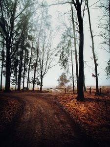 Preview wallpaper road, barrier, trees, fog, nature