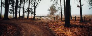 Preview wallpaper road, barrier, trees, fog, nature