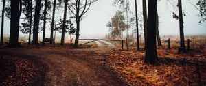 Preview wallpaper road, barrier, trees, fog, nature