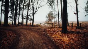 Preview wallpaper road, barrier, trees, fog, nature