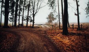 Preview wallpaper road, barrier, trees, fog, nature