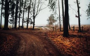 Preview wallpaper road, barrier, trees, fog, nature