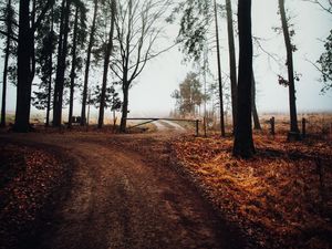 Preview wallpaper road, barrier, trees, fog, nature