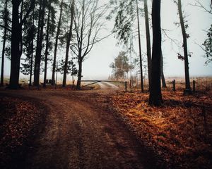 Preview wallpaper road, barrier, trees, fog, nature