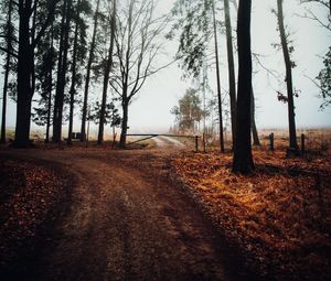 Preview wallpaper road, barrier, trees, fog, nature