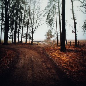 Preview wallpaper road, barrier, trees, fog, nature