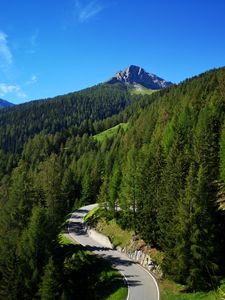 Preview wallpaper road, bends, forest, mountains, landscape