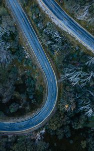 Preview wallpaper road, bends, trees, forest, aerial view