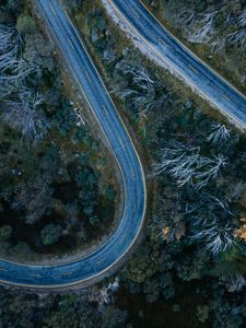 Preview wallpaper road, bends, trees, forest, aerial view