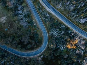 Preview wallpaper road, bends, trees, forest, aerial view