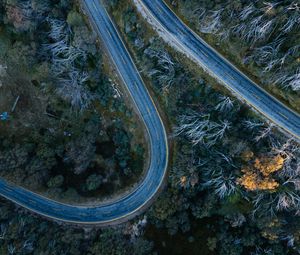 Preview wallpaper road, bends, trees, forest, aerial view