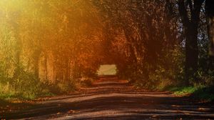 Preview wallpaper road, branches, autumn, sunlight, trees