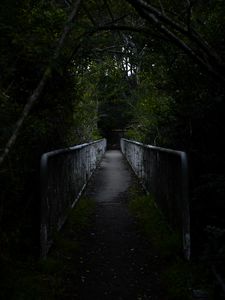 Preview wallpaper road, bridge, forest, distance