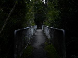 Preview wallpaper road, bridge, forest, distance