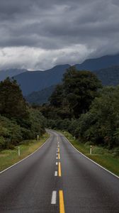 Preview wallpaper road, bushes, marking