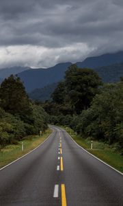 Preview wallpaper road, bushes, marking