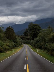 Preview wallpaper road, bushes, marking