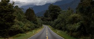 Preview wallpaper road, bushes, marking