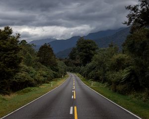 Preview wallpaper road, bushes, marking